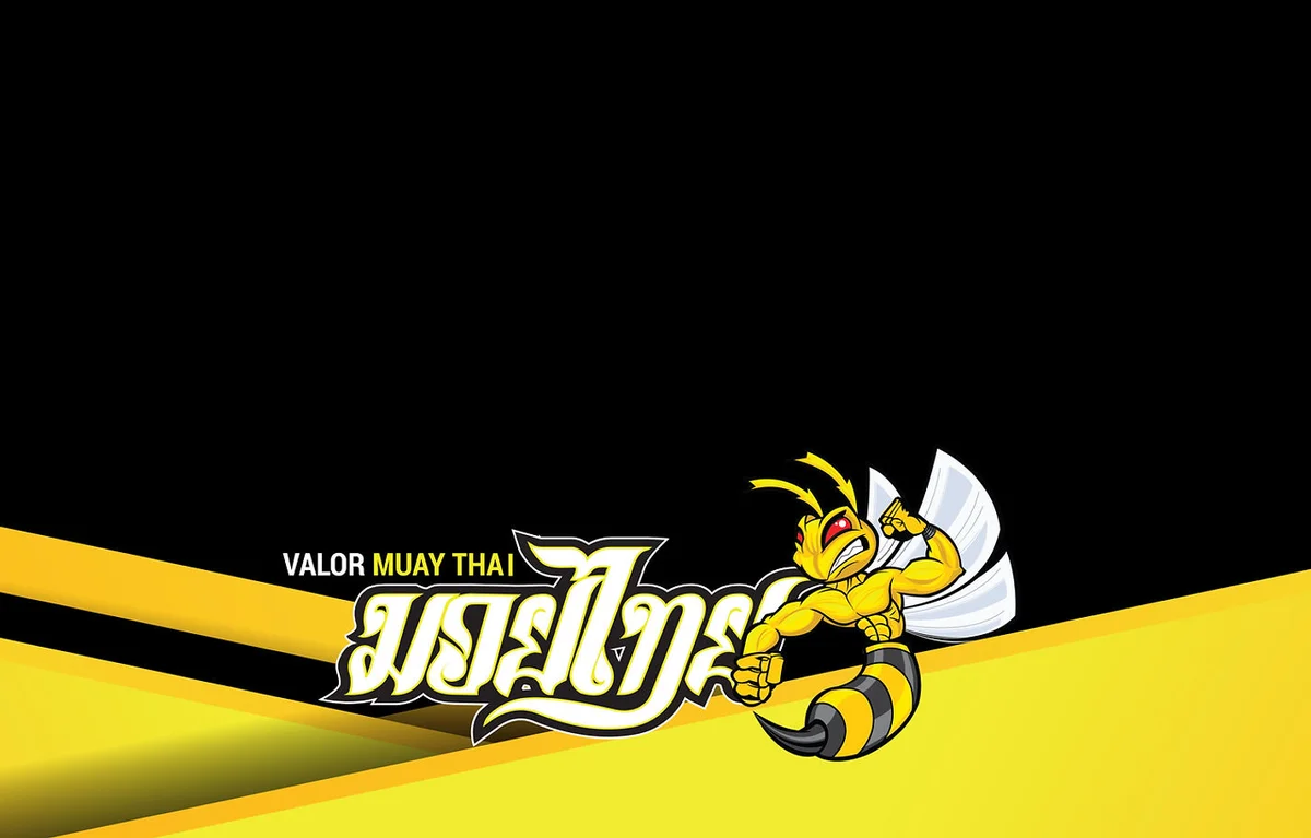 Valor Muay Thai visual