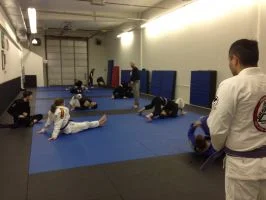 Vibe Jiu Jitsu & Grappling Arts facility image
