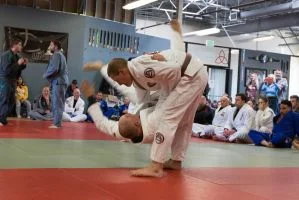 Vibe Jiu Jitsu & Grappling Arts facility image