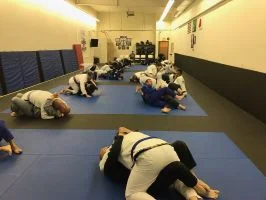 Vibe Jiu Jitsu & Grappling Arts facility image