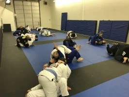 Vibe Jiu Jitsu & Grappling Arts facility image