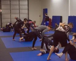 Vibe Jiu Jitsu & Grappling Arts facility image