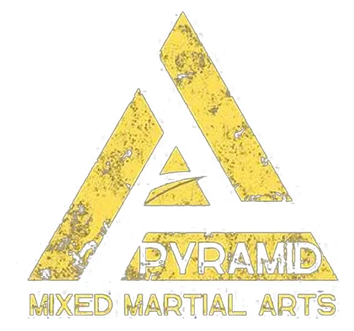 Victus Jiu Jitsu academy logo