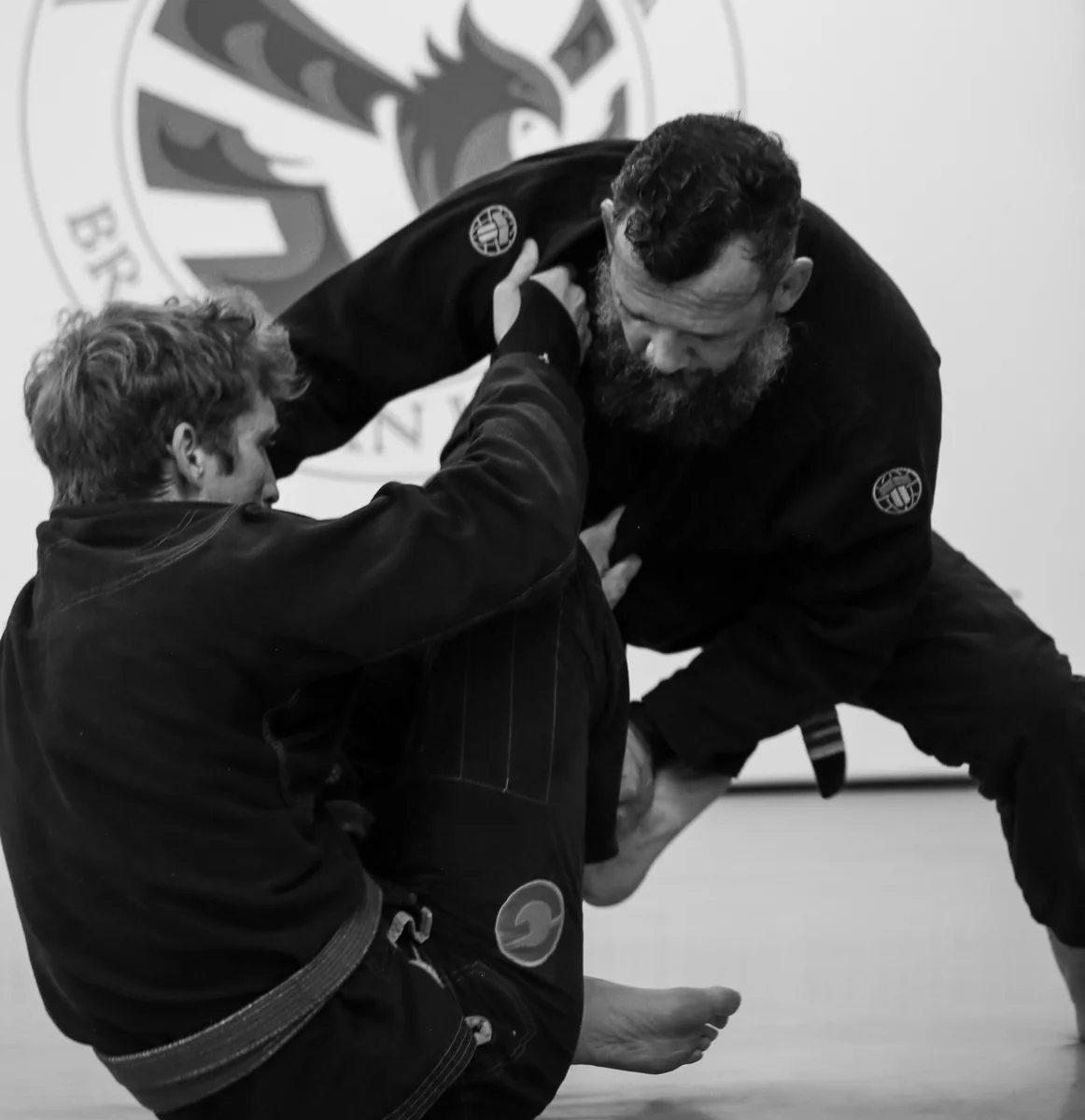 Vilanova Brazilian Jiu-Jitsu (VBJJ) / Camarillo Martial Arts academy photo