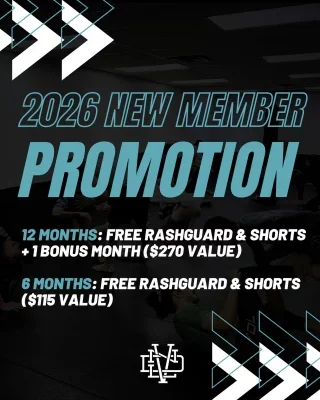 VNDL Jiu-Jitsu academy photo