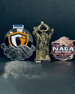 VNDL Jiu-Jitsu academy logo