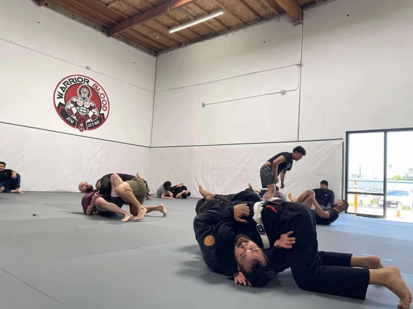 Warrior Blood Jiu Jitsu academy photo