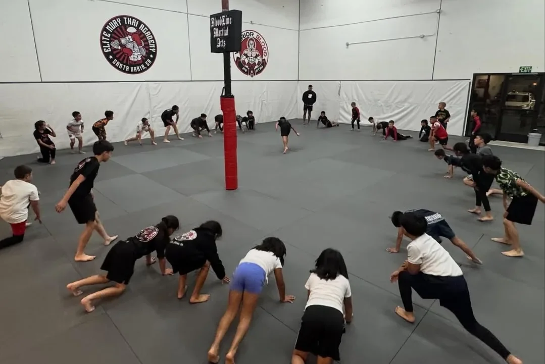 Warrior Blood Jiu Jitsu academy photo