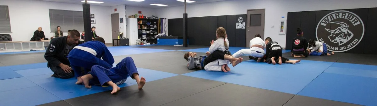 Warrior Brazilian Jiu Jitsu Academy academy photo