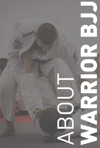 Warrior Brazilian Jiu Jitsu Academy academy photo