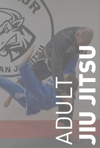 Warrior Brazilian Jiu Jitsu Academy academy logo