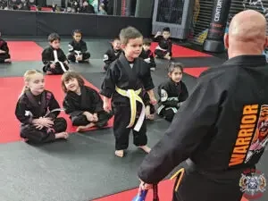 Way of the Warrior Martial Arts Elk Grove facility image