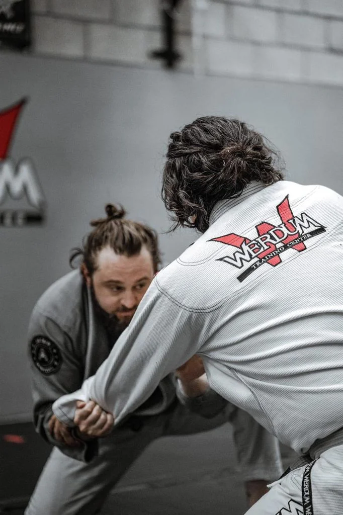 Werdum Training Center academy photo