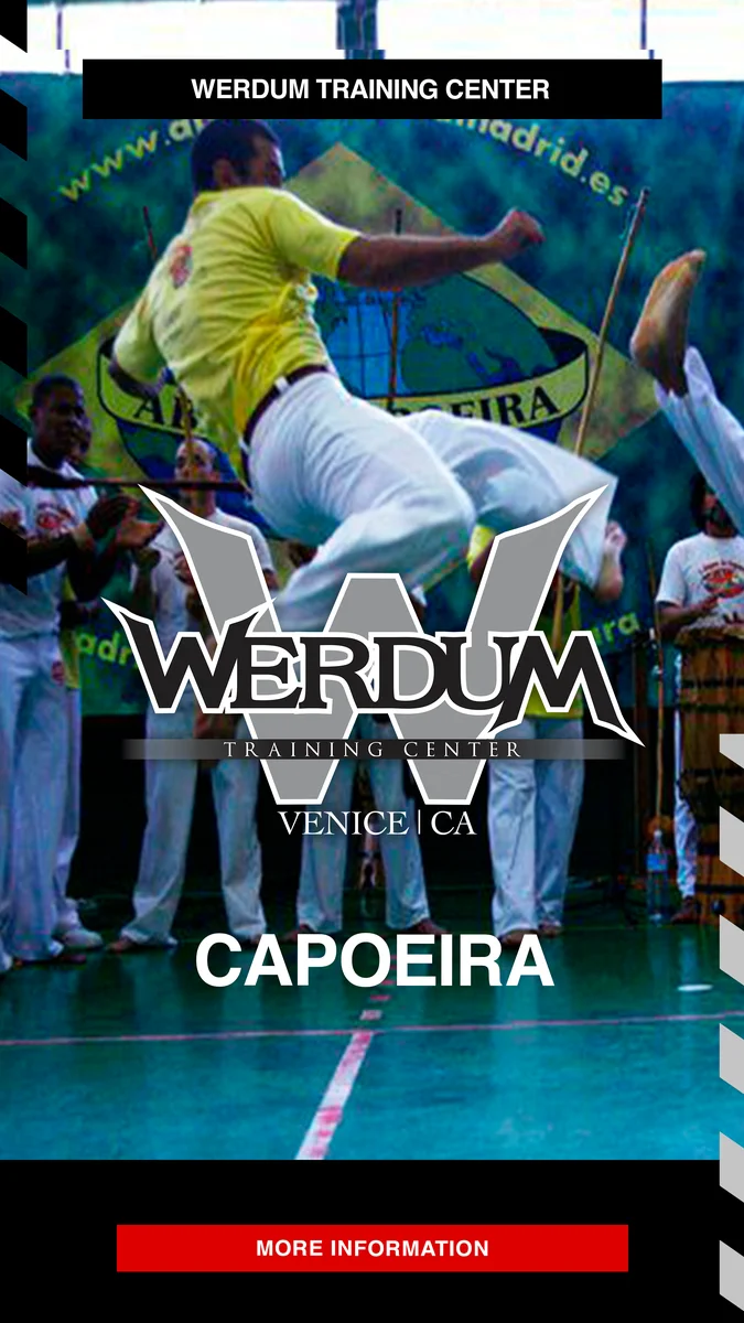 Werdum Training Center academy photo