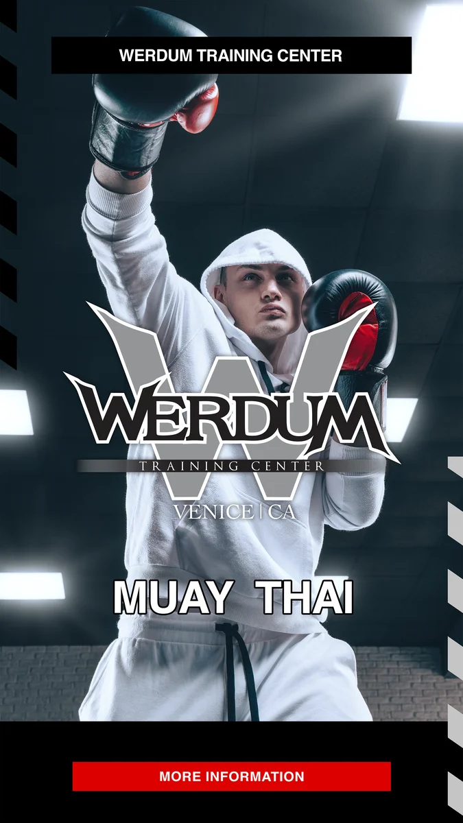 Werdum Training Center academy photo