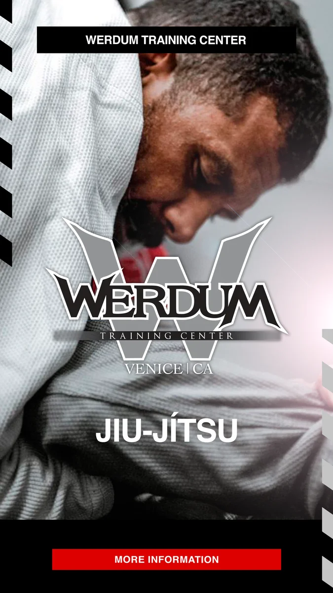 Werdum Training Center academy photo
