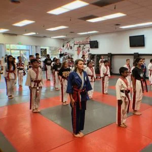 Ernie Reyes' West Coast World Martial Arts Association - Campbell Location academy photo