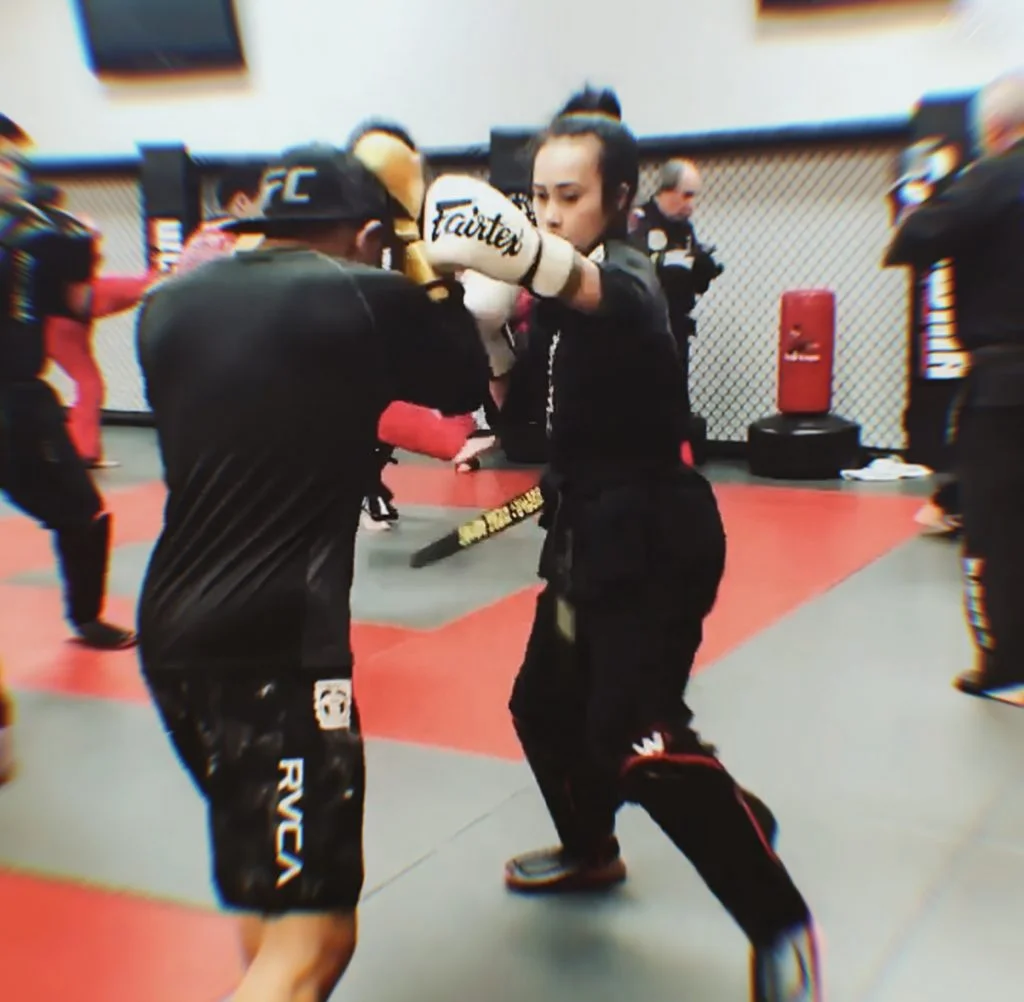 Ernie Reyes' West Coast World Martial Arts Association - Campbell Location academy photo