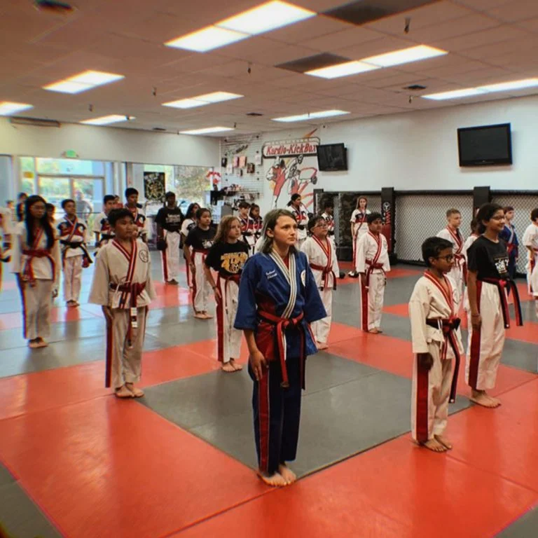 Ernie Reyes' West Coast World Martial Arts Association - Campbell Location academy photo