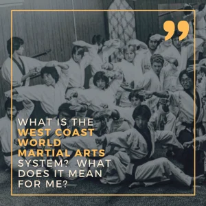 Ernie Reyes' West Coast World Martial Arts Association - Campbell Location academy photo