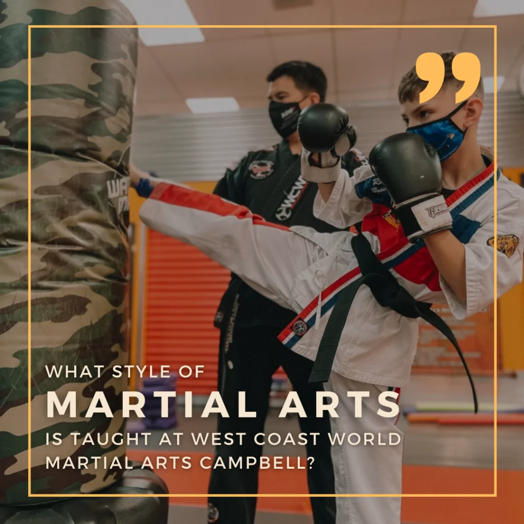 Ernie Reyes' West Coast World Martial Arts Association - Campbell Location academy photo