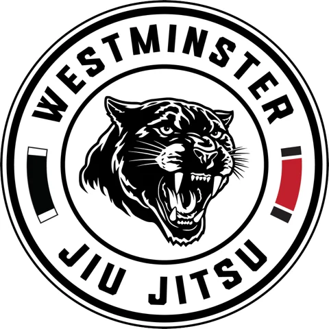 A Team Brazilian Jiu-Jitsu academy photo