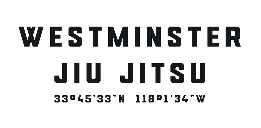 A Team Brazilian Jiu-Jitsu academy photo