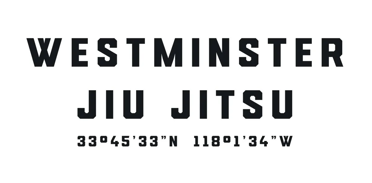 A Team Brazilian Jiu-Jitsu academy photo