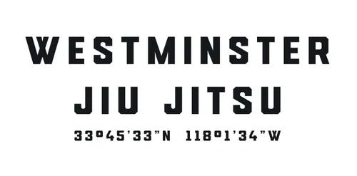 A Team Brazilian Jiu-Jitsu academy photo