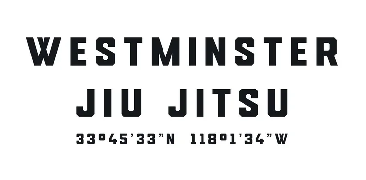A Team Brazilian Jiu-Jitsu academy photo