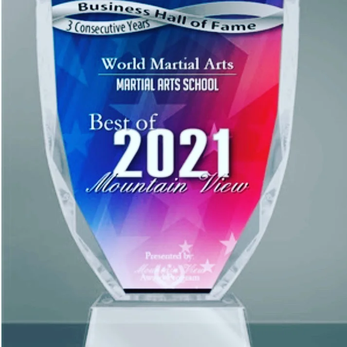 WORLD MARTIAL ARTS PALO ALTO academy photo