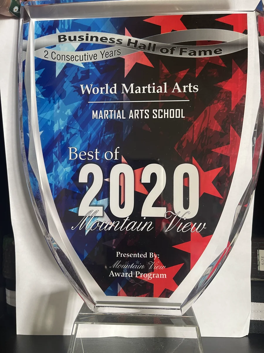 WORLD MARTIAL ARTS PALO ALTO academy photo