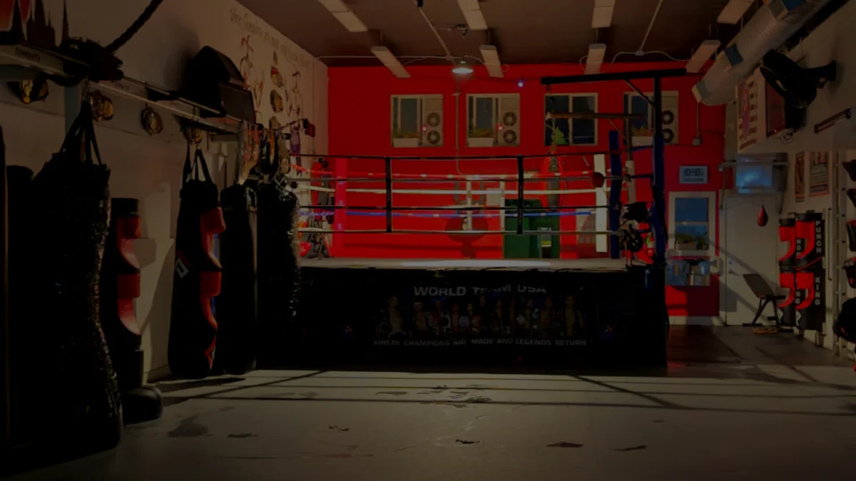 World Team USA Muay Thai & BJJ Fitness academy photo