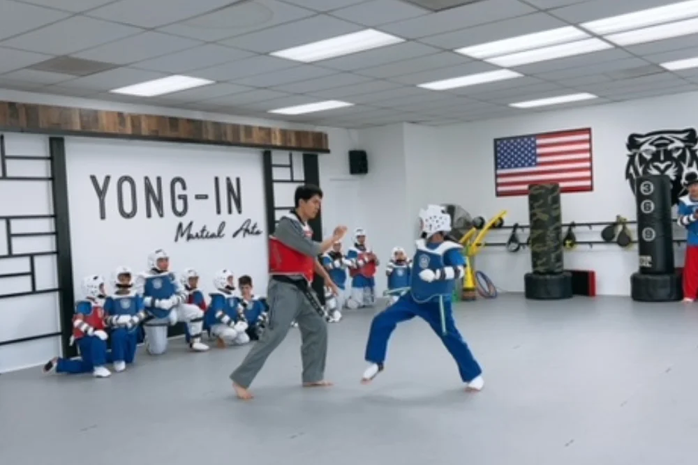 Yong-In Martial Arts academy photo