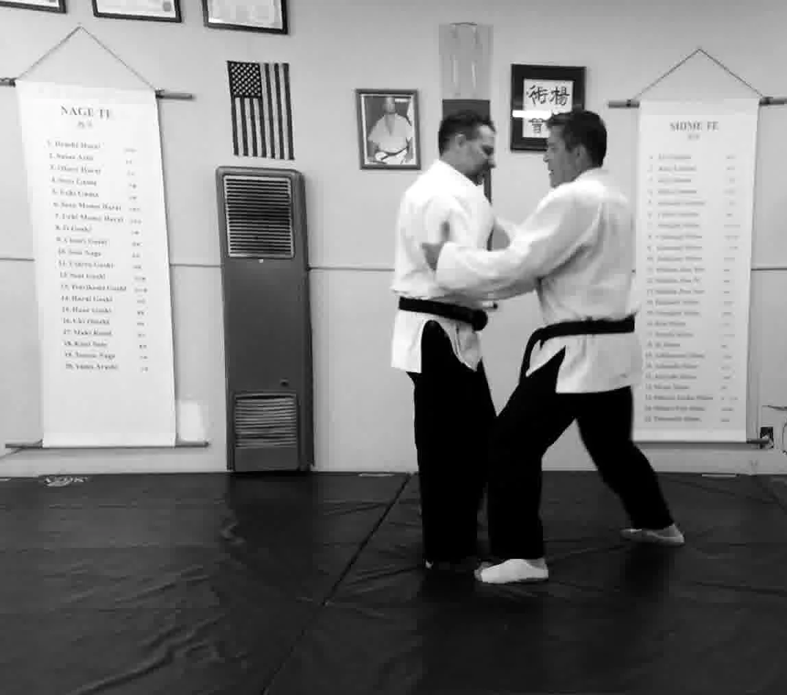 Yoshin Jitsu Kai academy photo