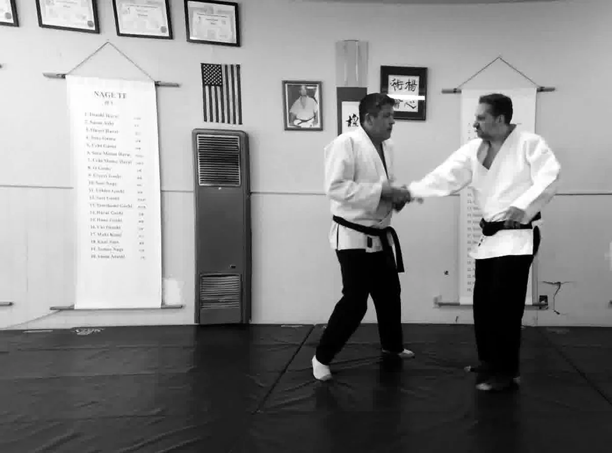 Yoshin Jitsu Kai visual