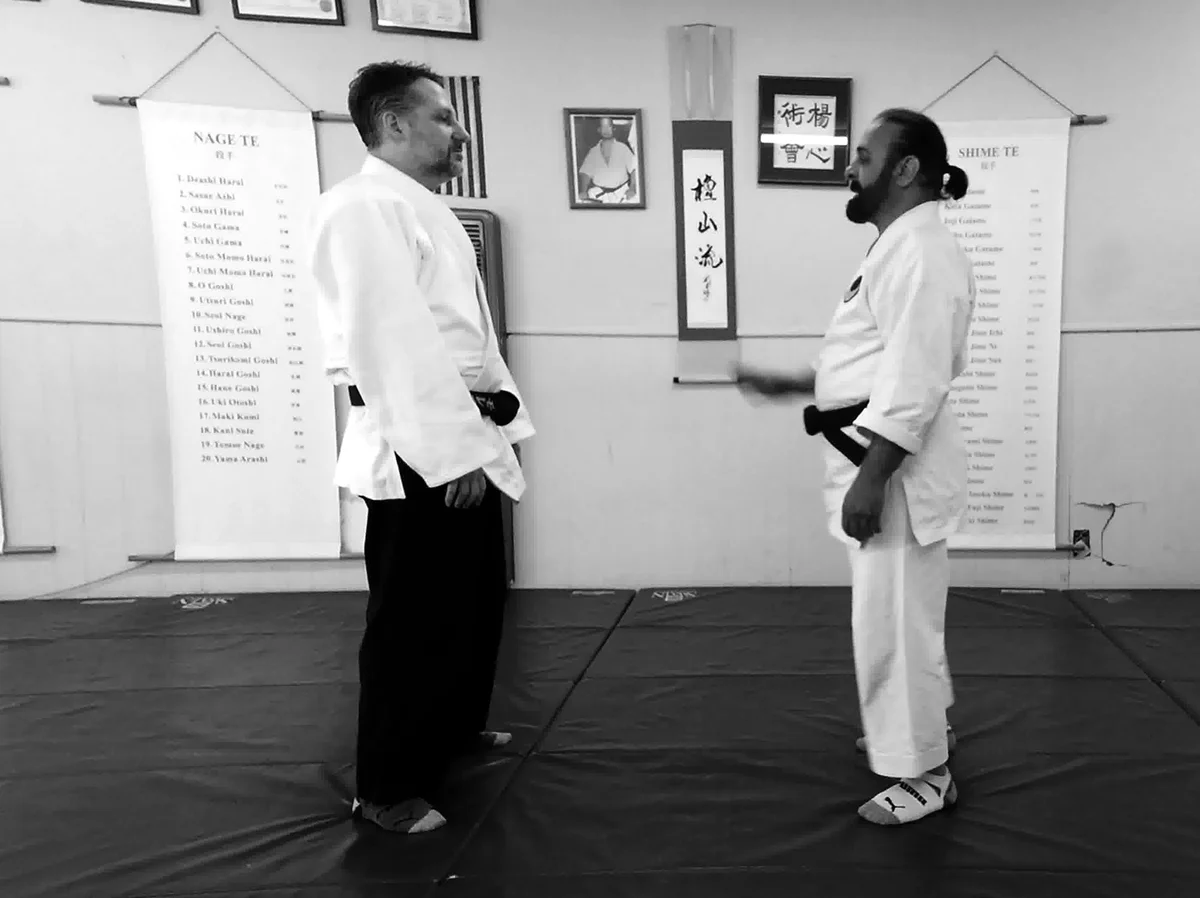 Yoshin Jitsu Kai academy photo