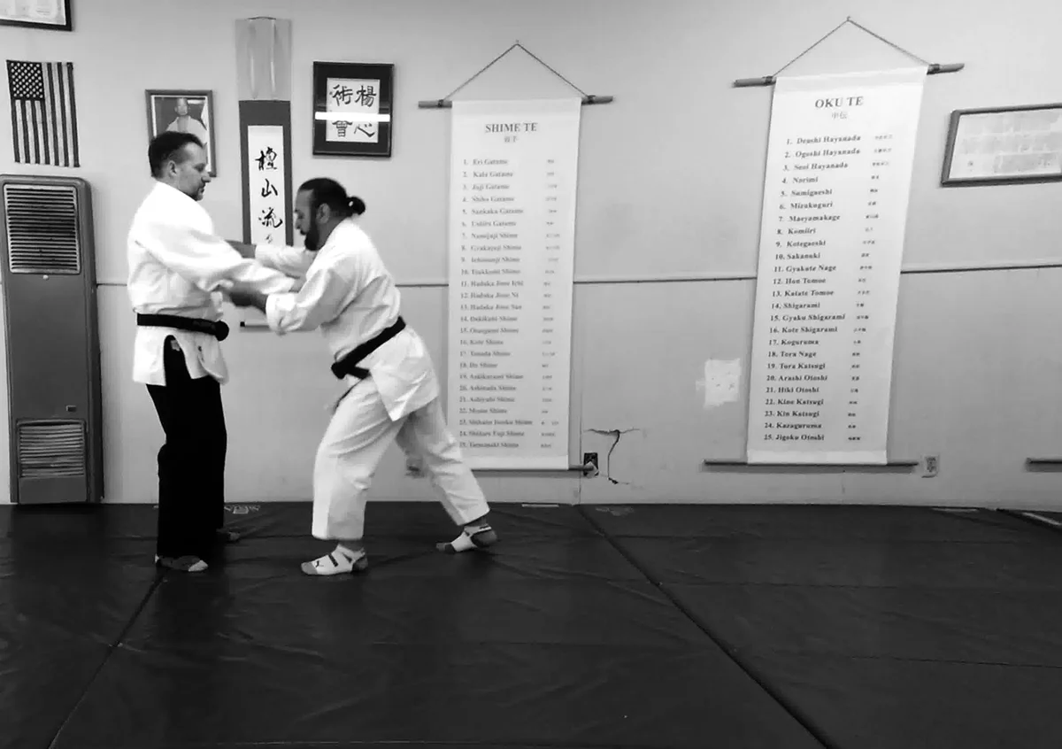 Yoshin Jitsu Kai academy photo