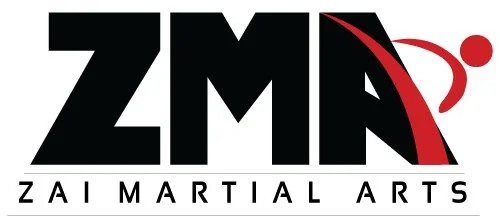 Zai Martial Arts Academy visual