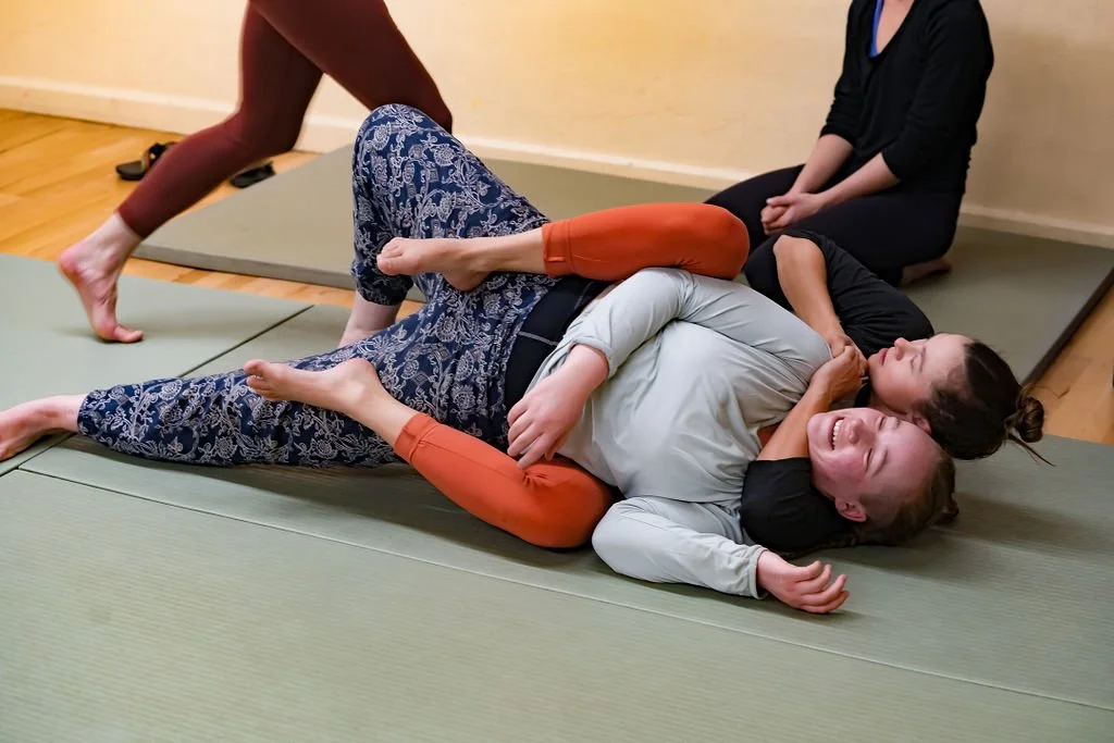 Ahimsa Jiu Jitsu academy photo