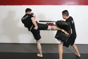 Competitive Edge Mixed Martial Arts (CEMMA) visual
