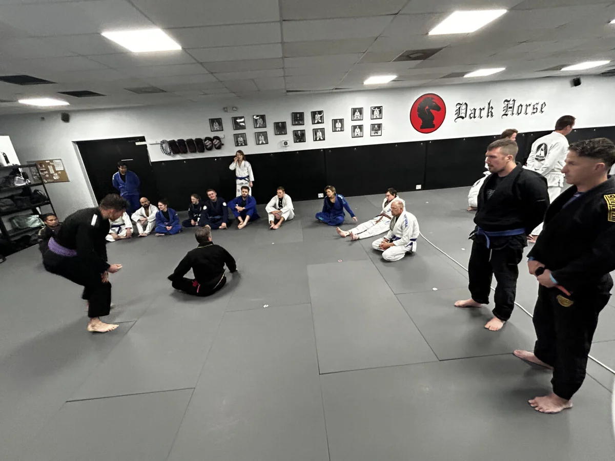 Dark Horse Brazilian Jiu-Jitsu academy photo