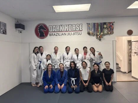 Dark Horse Combat Club academy photo