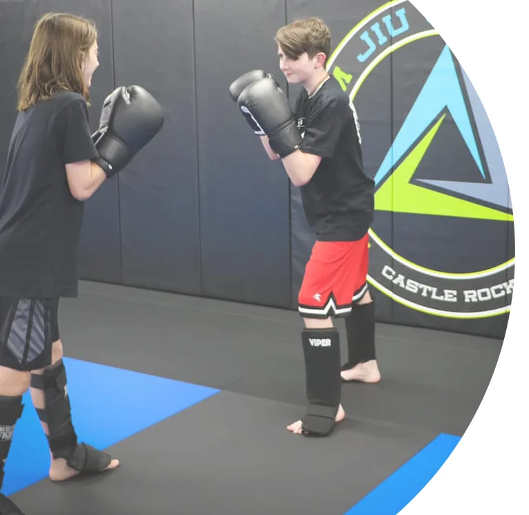 Fulcrum Brazilian Jiu Jitsu Academy academy logo