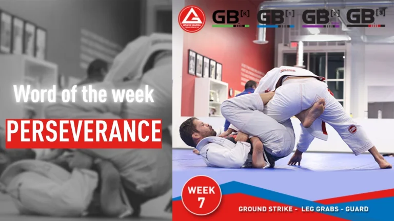 GRACIE BARRA CENTENNIAL, CO academy photo