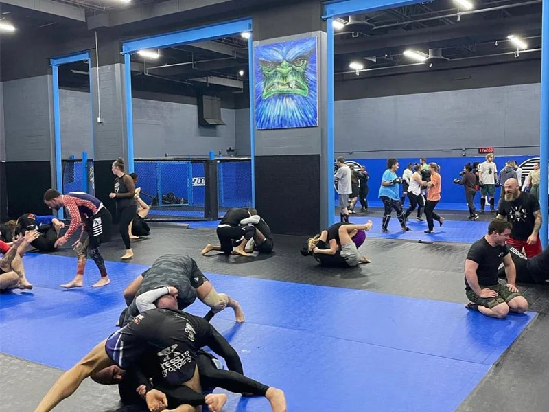 High Altitude Martial Arts visual