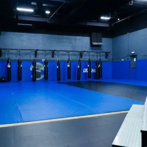 High Altitude Martial Arts academy photo
