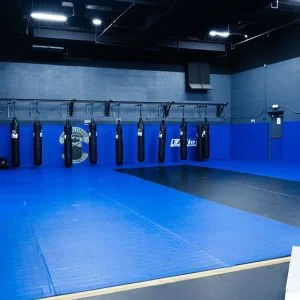 High Altitude Martial Arts academy photo