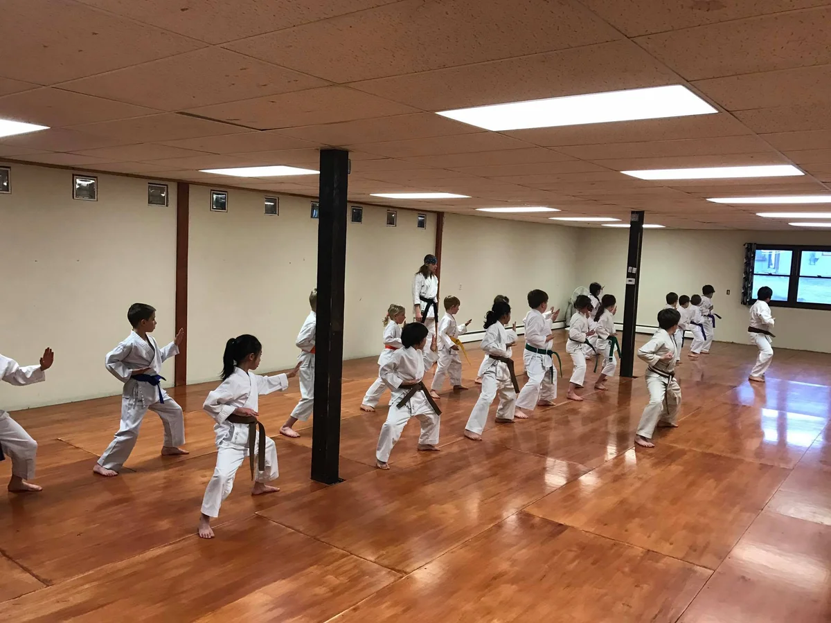 IKA COLORADO DOJO academy photo