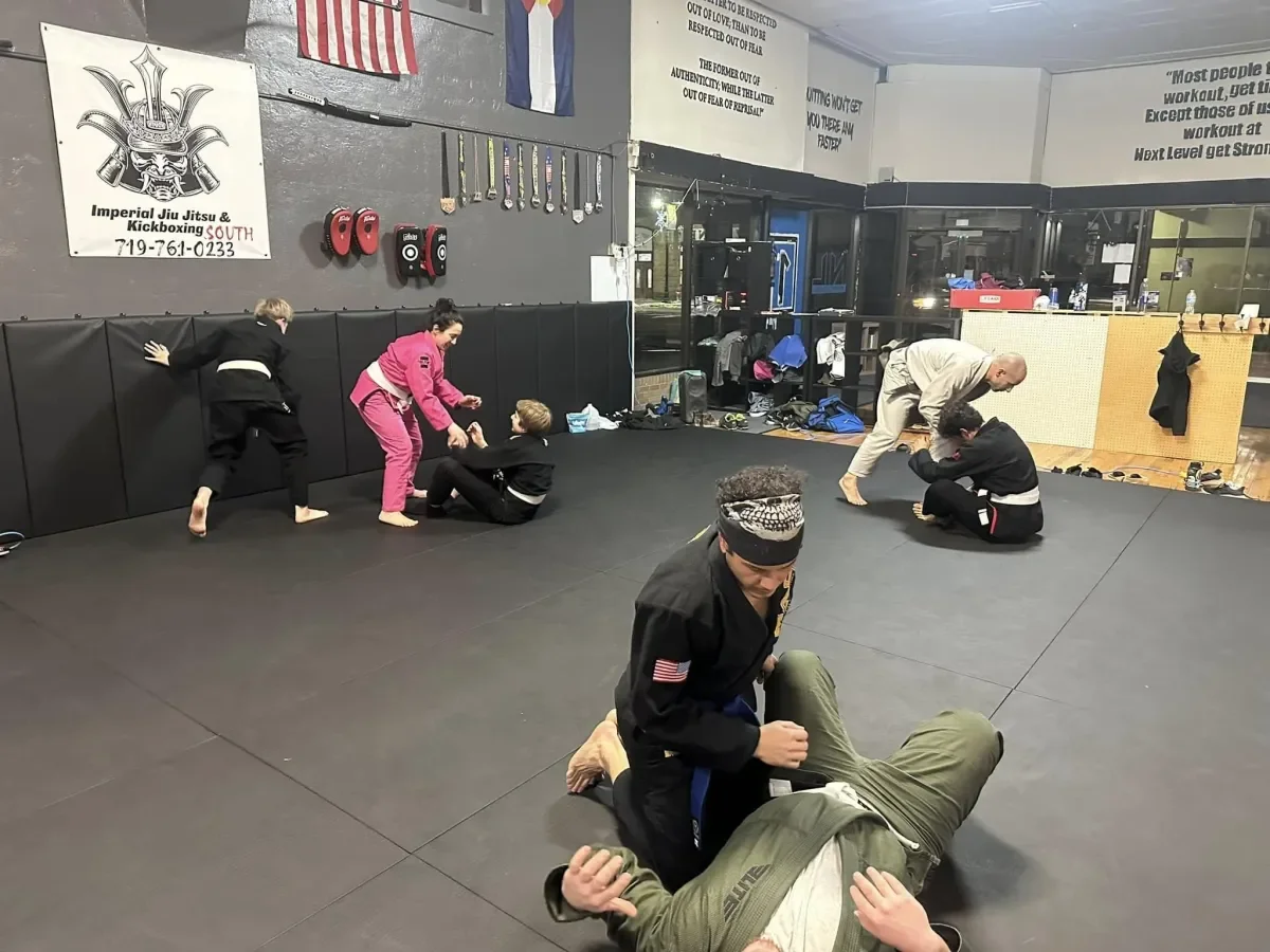 Imperial Jiu Jitsu & Kickboxing *SOUTH* visual